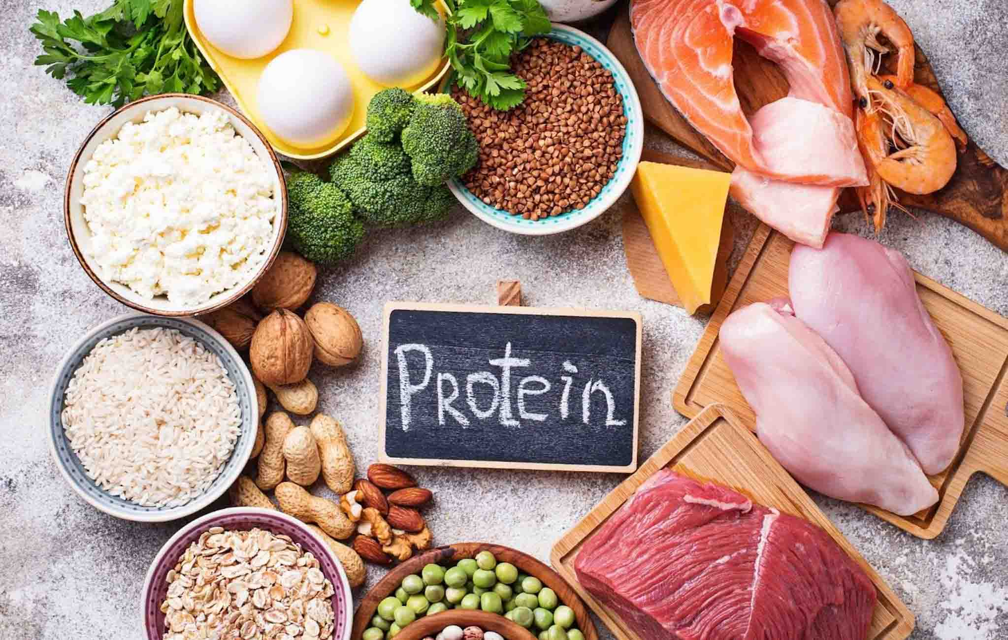 Nhóm thực phẩm giàu protein