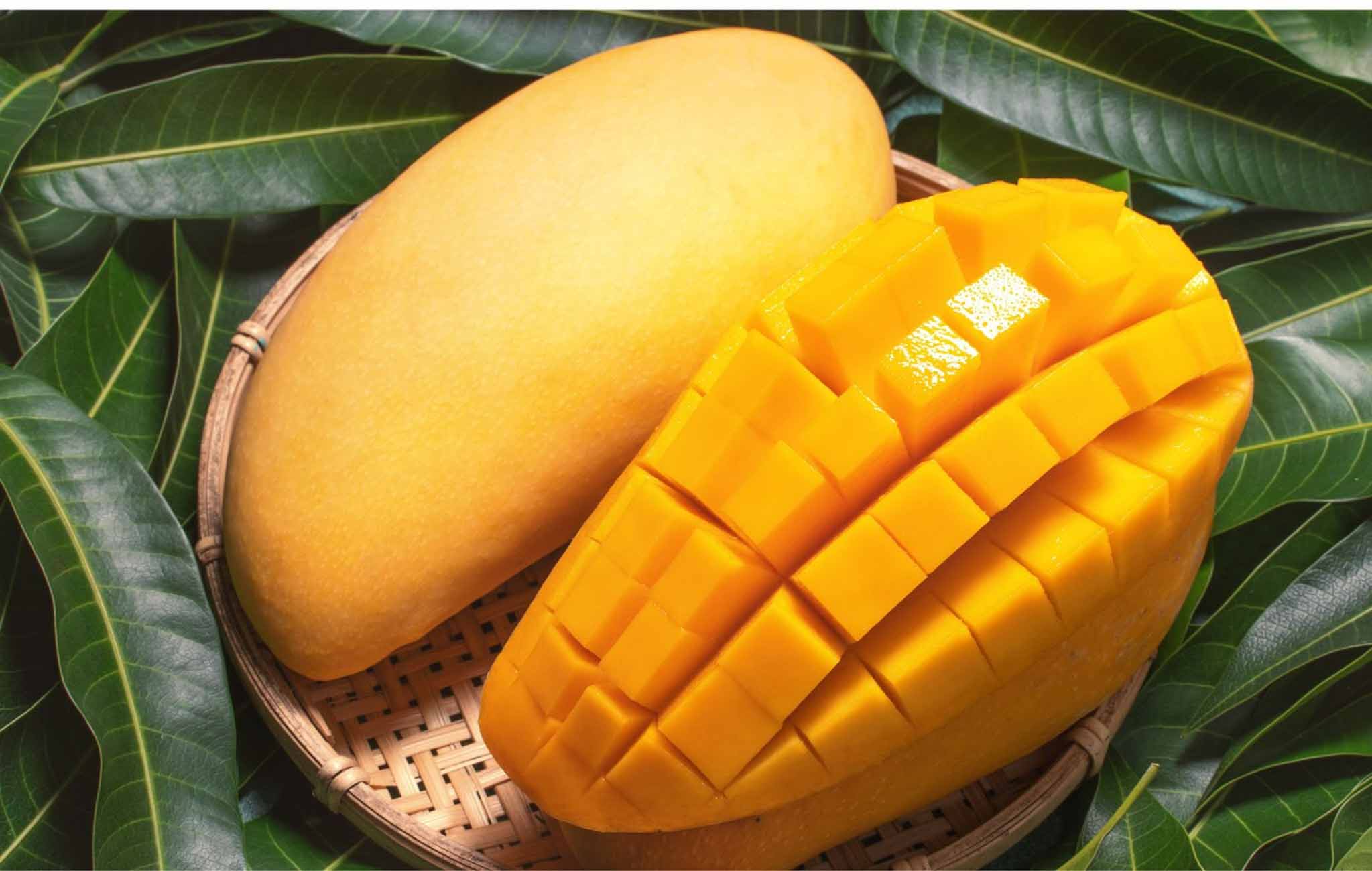 Ăn xoài có béo không