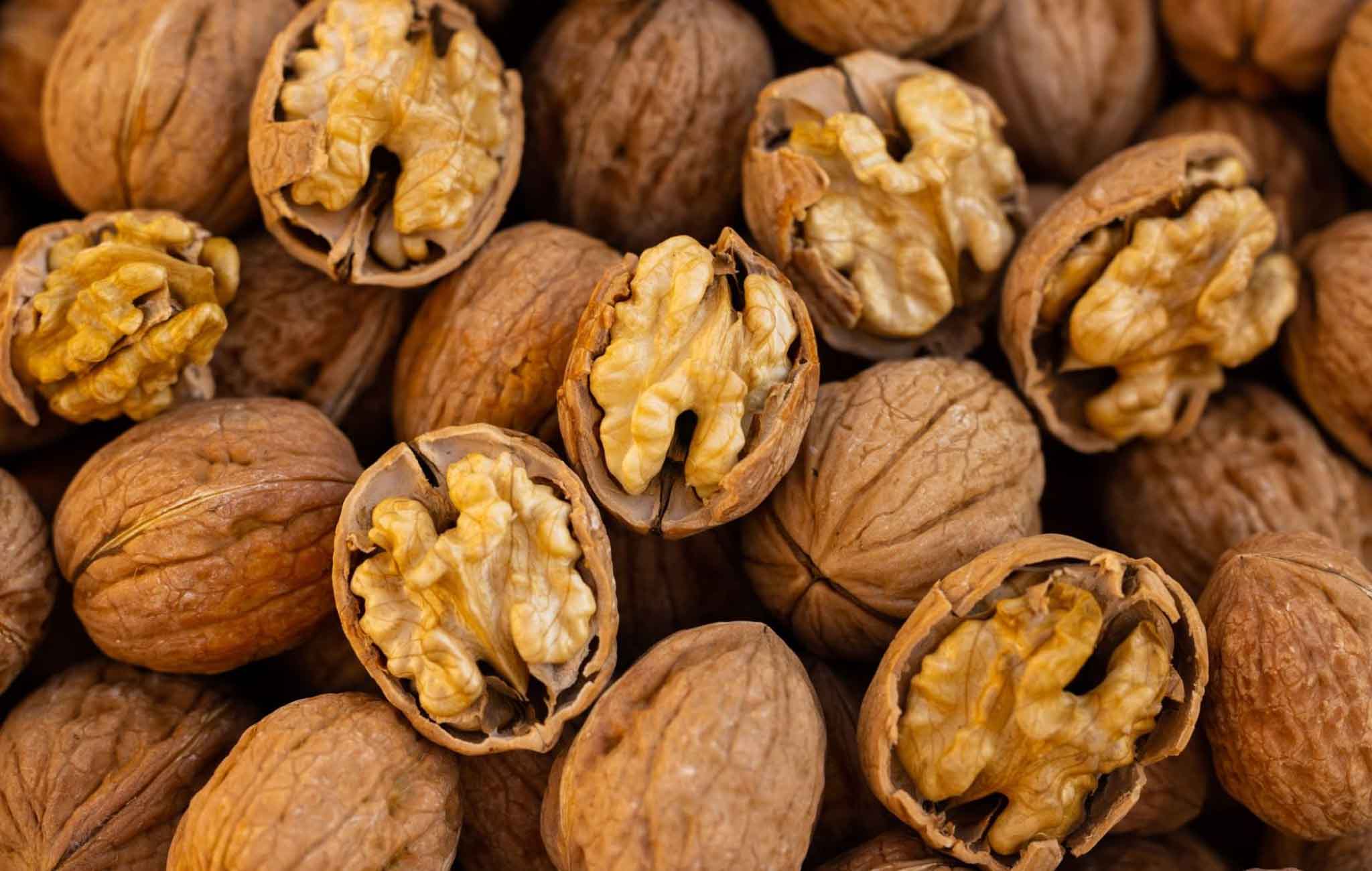 Hạt óc chó